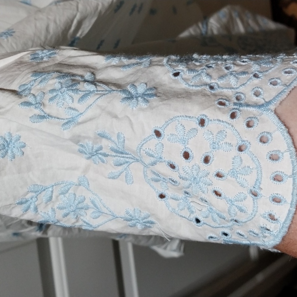 Nwt Rachel Zoe White Dress with Blue Floral Accents - Picture 7 of 17